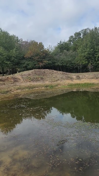 andresantonioka's tweet card. #dios #motivacion #reflexiones #paz #paisajesextremos #reflexionesd...