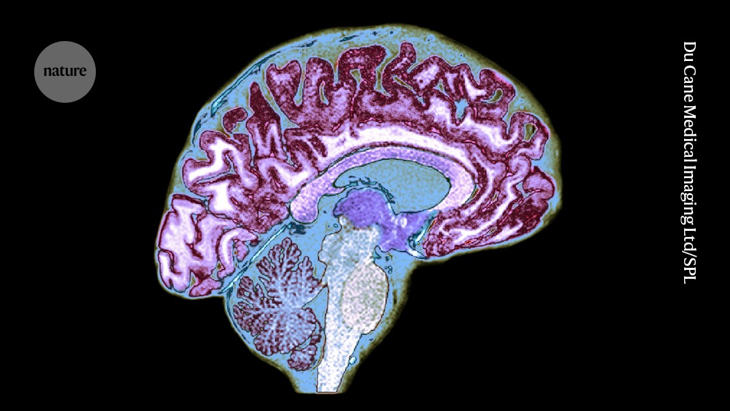 Nature's tweet card. Nature - The body’s pathogen fighters can act as surveillance forces that ferry information from the gut and fat deposits to the brain.