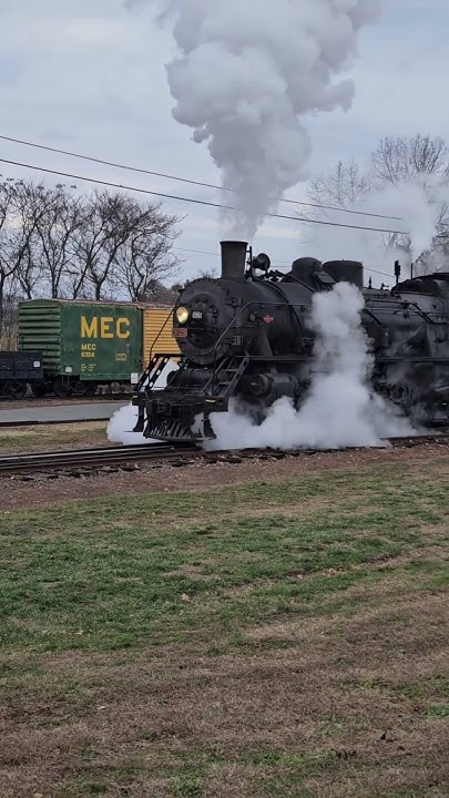 TruckCCPCarney's tweet card. #birdtrend