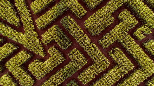 SomethingElse_u's tweet card. Visit the post for more.