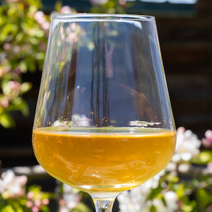 cidercon's tweet card. Join us for an insightful presentation hosted by 3 Tier Beverages where we will explore the dynamic impact of Gen-Z on the alcoholic beverage industry.