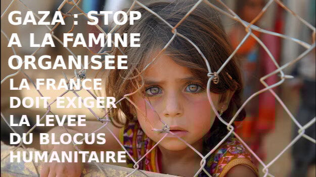 Go_Freespace's tweet card. Levée immédiate du blocus humanitaire à Gaza - Ça suffit ! That's enough ! ! كفى !