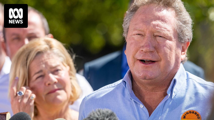 EugeBuckley's tweet card. The Fortescue Metals Group founder announces he will spend $70 million on a bushfire recovery package for fire-affected communities which includes deploying a volunteer army of more than 1,200 people.