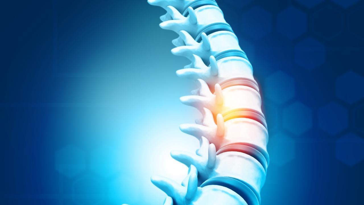 national_pain's tweet card. Neurons in the spinal cord process pain signals differently in women compared to men, suggests a study by researchers from The Ottawa Hospital in Canada