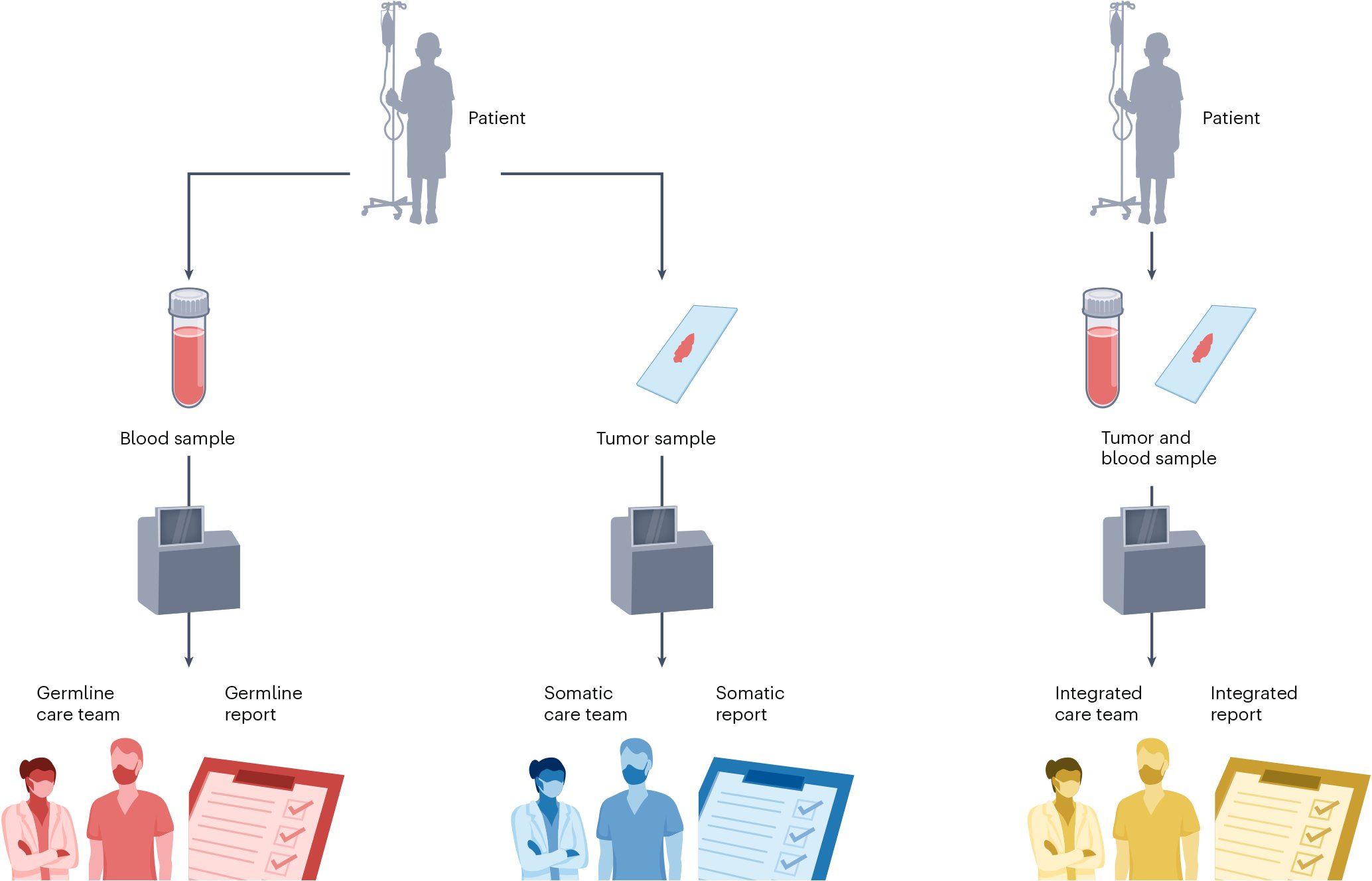 cancer_evolve's tweet card. Nature Medicine - Germline sequencing should be integrated with somatic testing of cancers to provide a comprehensive genetic assessment of disease.