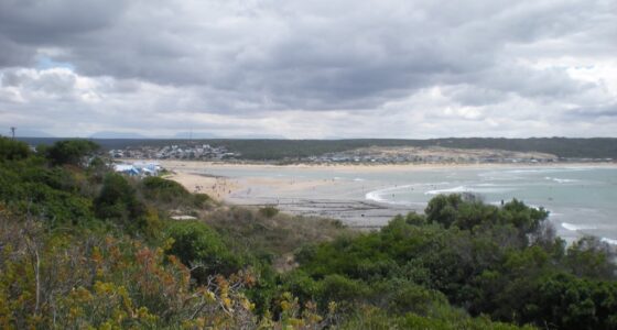 rachsig's tweet card. O robala ko maotong a hae na? Do you sleep at their feet? No. I do not.