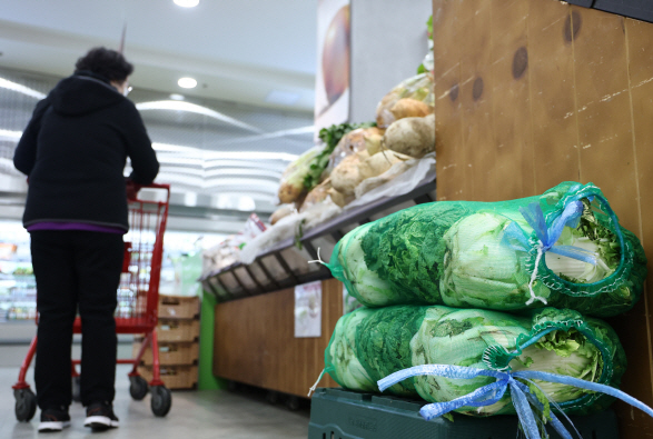 SBSBiznews's tweet card. [유통가 '김장전쟁'…"배추·무 할인하고 굴·돼지고기 특가" (연합뉴스 자료사진)]김장철을 앞두고 '금배추'로 불렸던 배추 가격이 안정세를 보이는 것으로 나타났습니다.오늘(17일) 한국농수산식품유통공사(aT) 농산물 유통정보(KAMIS)에 따르면 11월 둘째 주 배추…