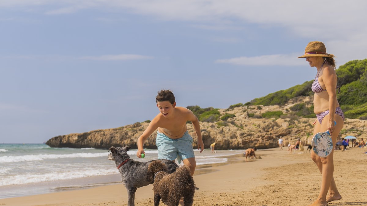 nautilusmar's tweet card. Estará el 23 y 24 de octubre en el primer Congreso de los Derechos de los Animales de la Abogacía Catalana