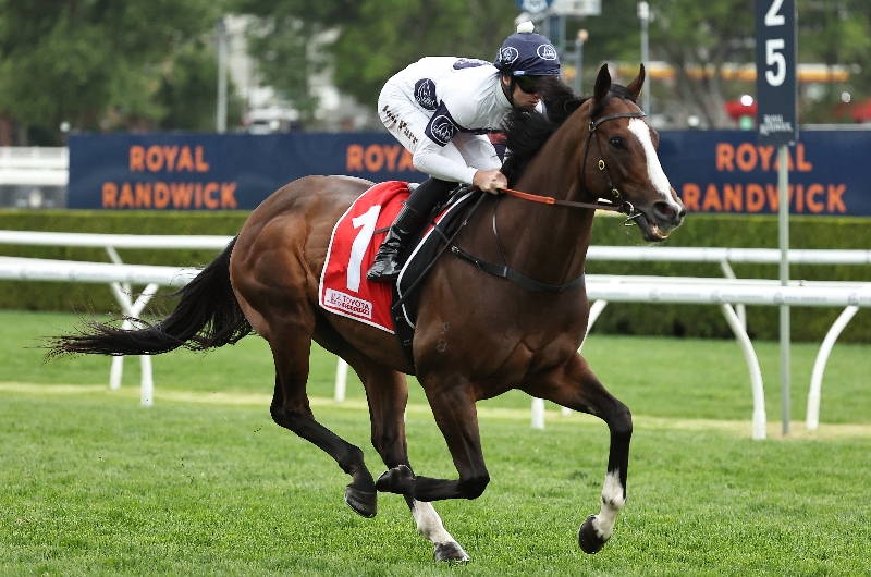 bets_comau's tweet card. Get the latest Winterbottom Stakes 2025 betting odds for Saturday, November 29, 2025, with Jokers Grin, Overpass and Luana Miss leading the market at Ascot.