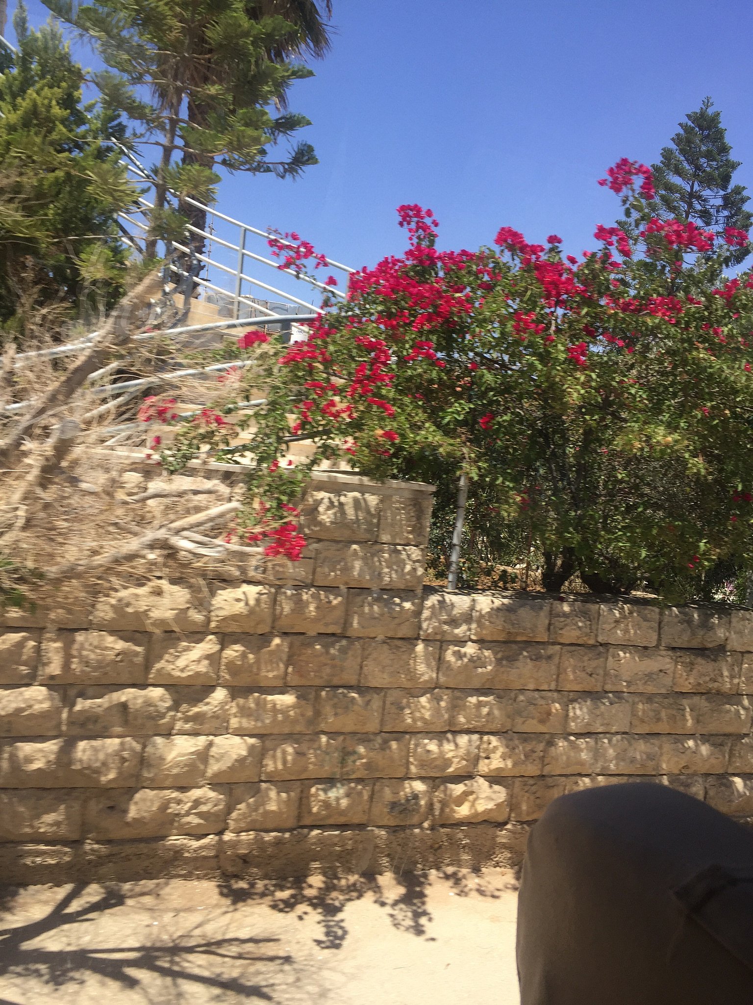 AWiderBridge's tweet card. From the blog of Jackie Bruckman at The Times of Israel