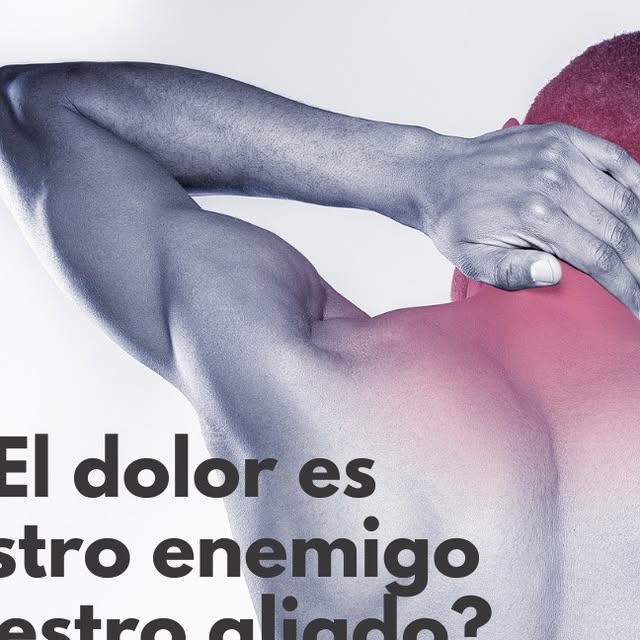 CentrosBodyHelp's tweet card. Body Help (@bodyhelpbcn) • Instagram photo