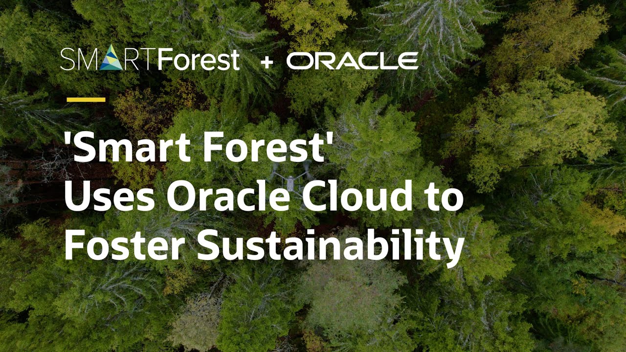 OracleSustainab's tweet card. How NIBIO is fostering more sustainable forests using innovative...