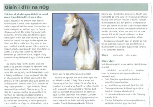 LCNotesOnline's tweet card. Similar Notes Available in the Irish Notes Package