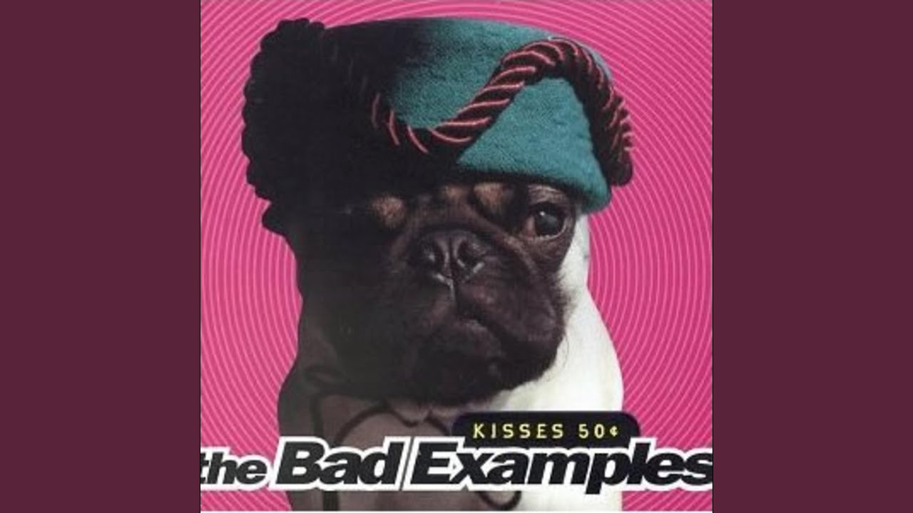 CatmansChoice's tweet card. Man Underwater