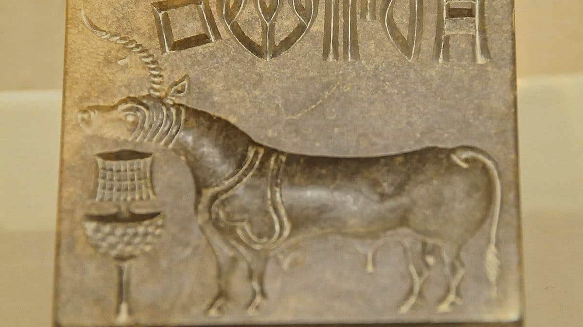 DilPCS's tweet card. The researchers and scholars are using artificial intelligence to decode the ancient Indus Valley script. AI algorithms can help analyse patterns and frequencies of symbols in the mysterious script.