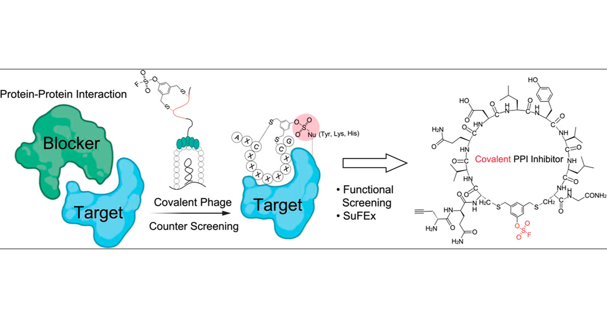DanNomura's tweet card. Peptide macrocycles are promising therapeutics for a variety of disease indications due to their overall metabolic stability and potential to make highly selective binding interactions with targets....