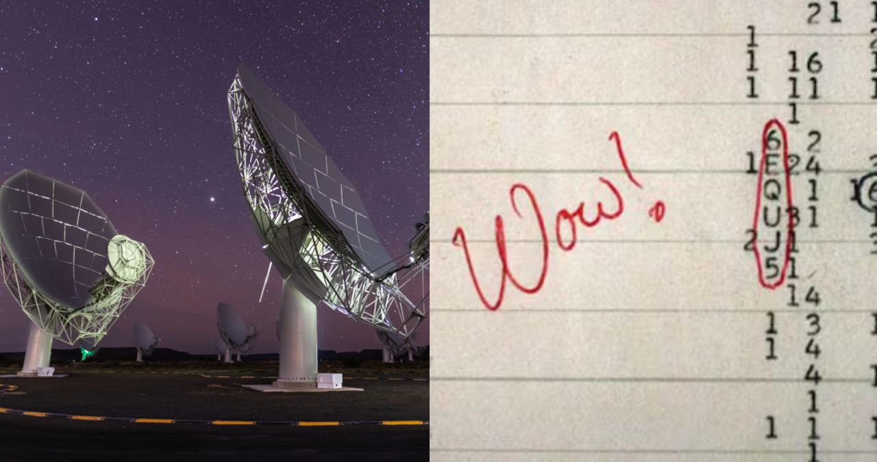 Mashable_ME's tweet card. A cosmic visitor stirs questions humanity wasn’t ready for.