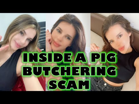 digidreamgrafix's tweet card. Inside a Pig Butchering Scam