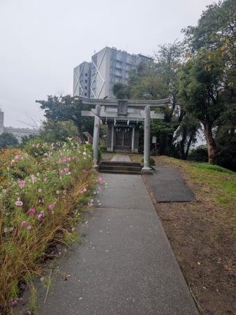 xuonix_com's tweet card. 雨に縛られた週末。山に向かうことは今日も叶わず、身体のどこかがざわついたまま朝を迎えた。 “せめて少しだけ歩きたい”。そう思い、田園都市線・すずかけ台駅近くの、小さな「高尾山」へ向かった。名前こそ高尾山だが、あの599m...