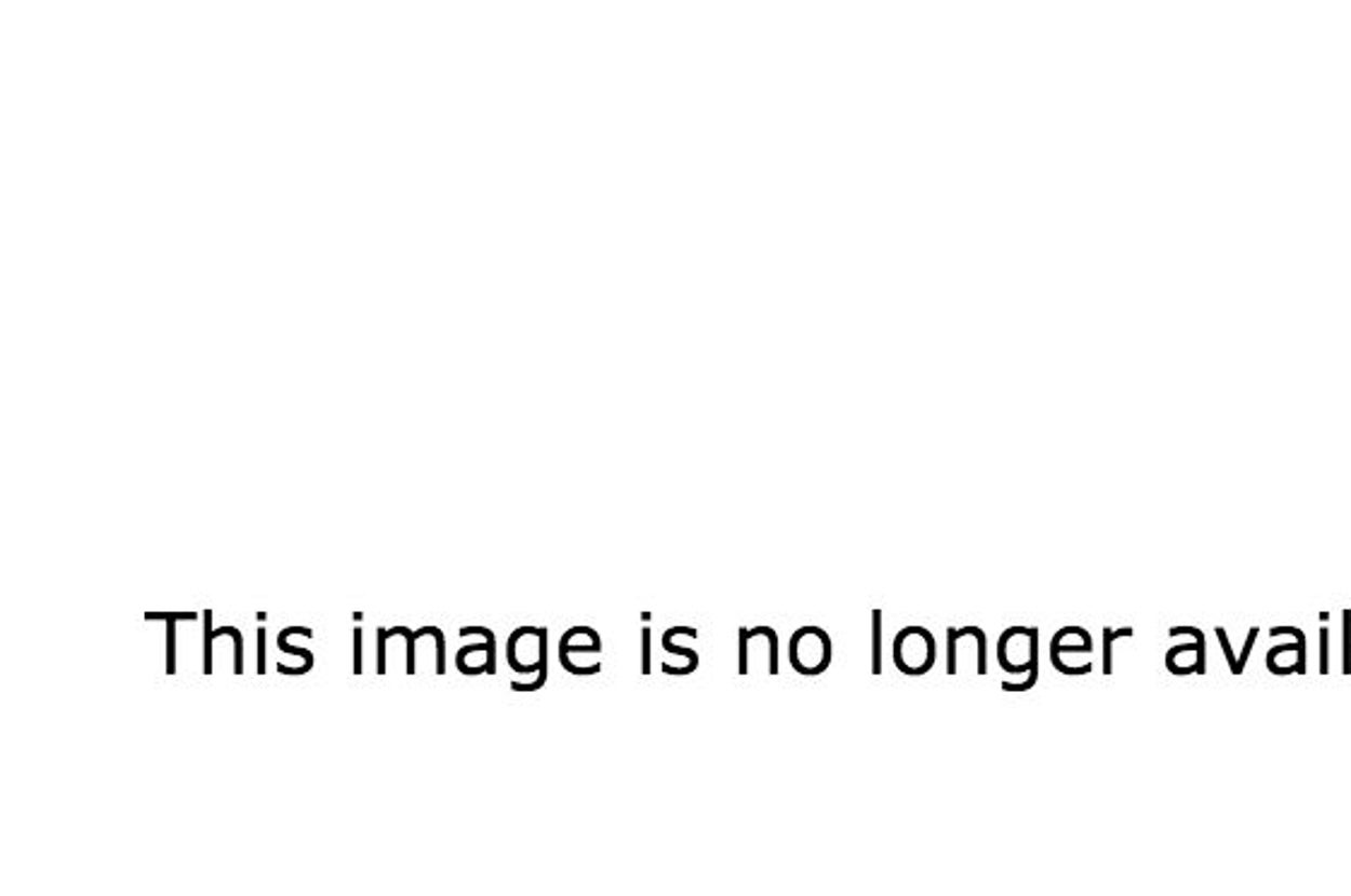 webofdeception's tweet card. It's a thing, OK?