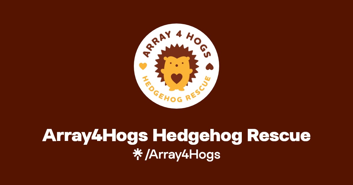 Array4H's tweet card. We are a hedgehog rescue in South Birmingham - If you need help with a hog please call 07990585575