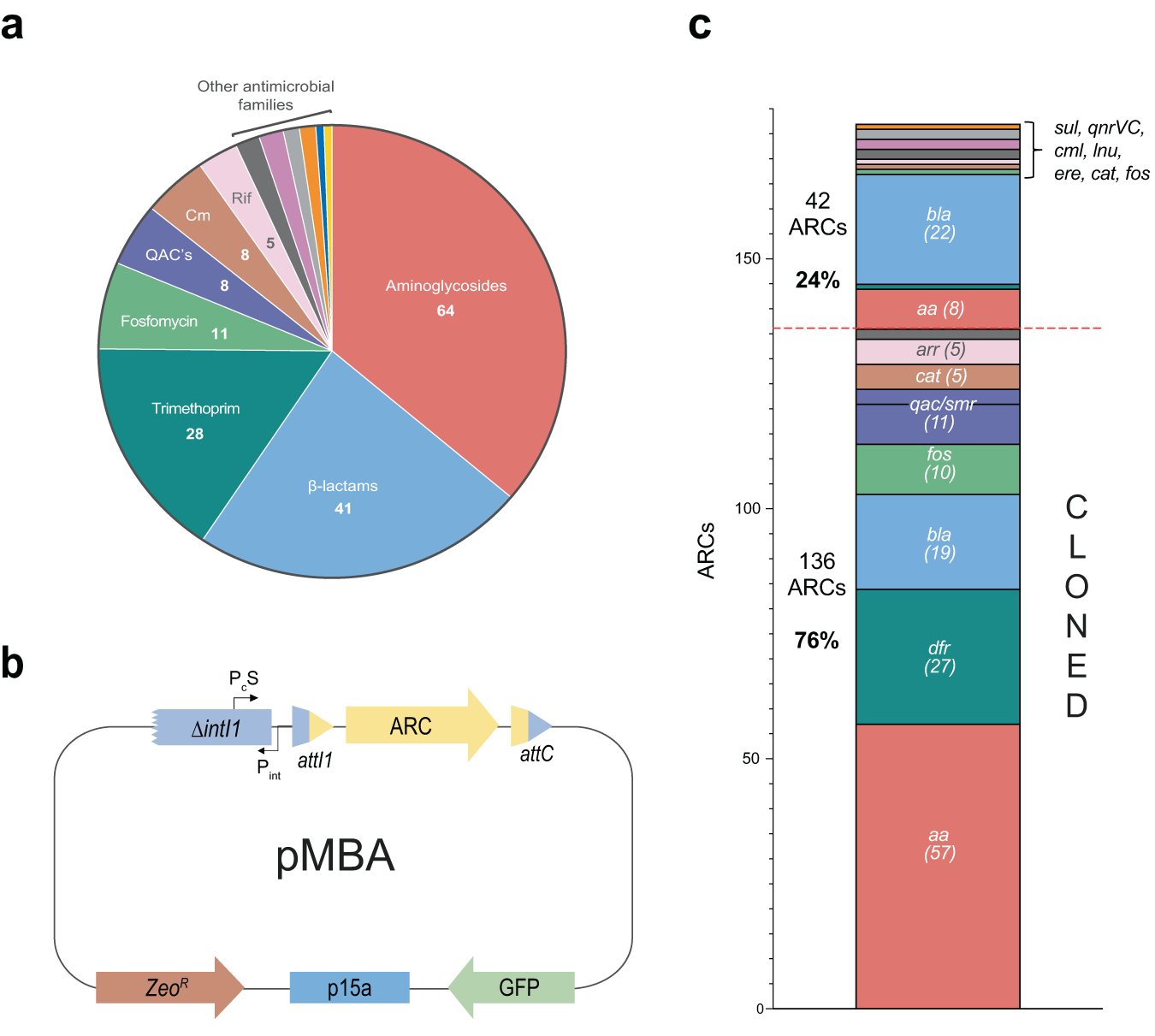 jaegc's tweet card. npj Antimicrobials and Resistance - Profile and resistance levels of 136 integron resistance genes