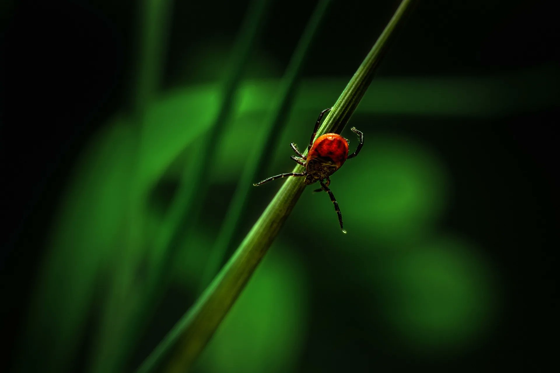 macrofxtrader_c's tweet card. Unlock the secrets of tick scalping in forex with our beginner-friendly guide. Learn techniques for quick, small gains in the forex market.