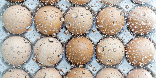 AmydKlein's tweet card. Women are increasingly encouraged to freeze their eggs as we start having children later.