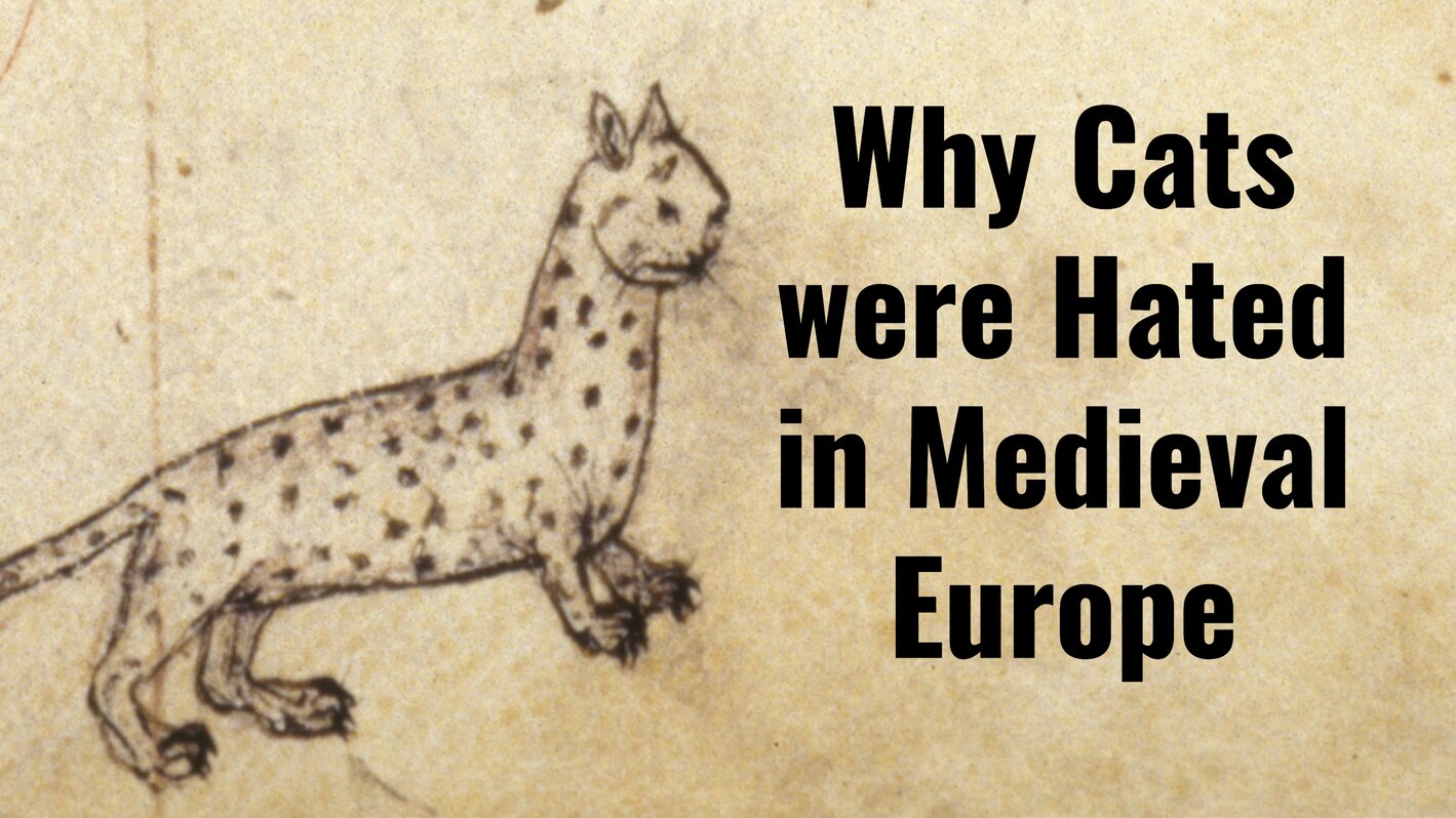 Medievalists's tweet card. Cats in medieval Europe mostly had a bad reputation – they were associated with witches and heretics, and it was believed that the devil could transform himself into a black cat. How did this view of...