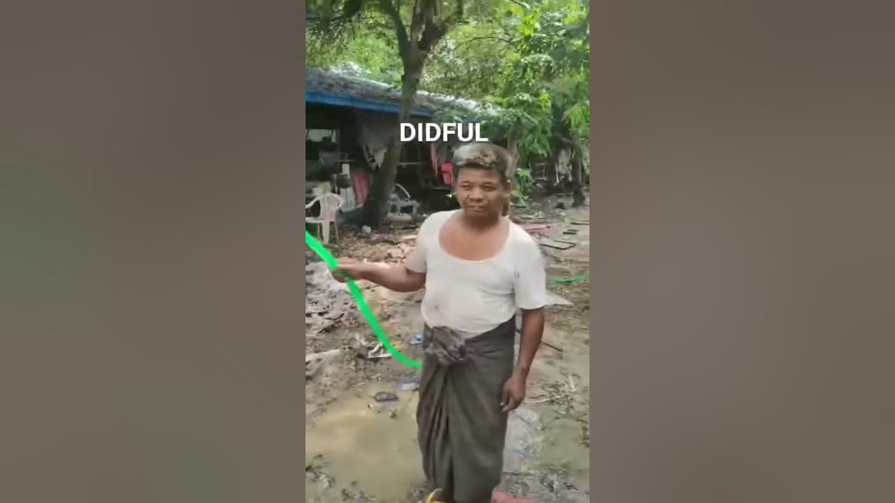 diffulpump's tweet card. DIFFUL SOLAR PUMP - 550W DCPM SOLAR SURFACE PUMP