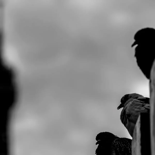 lucian's tweet card. Lucian Teo (@lucianteo) • Instagram photo