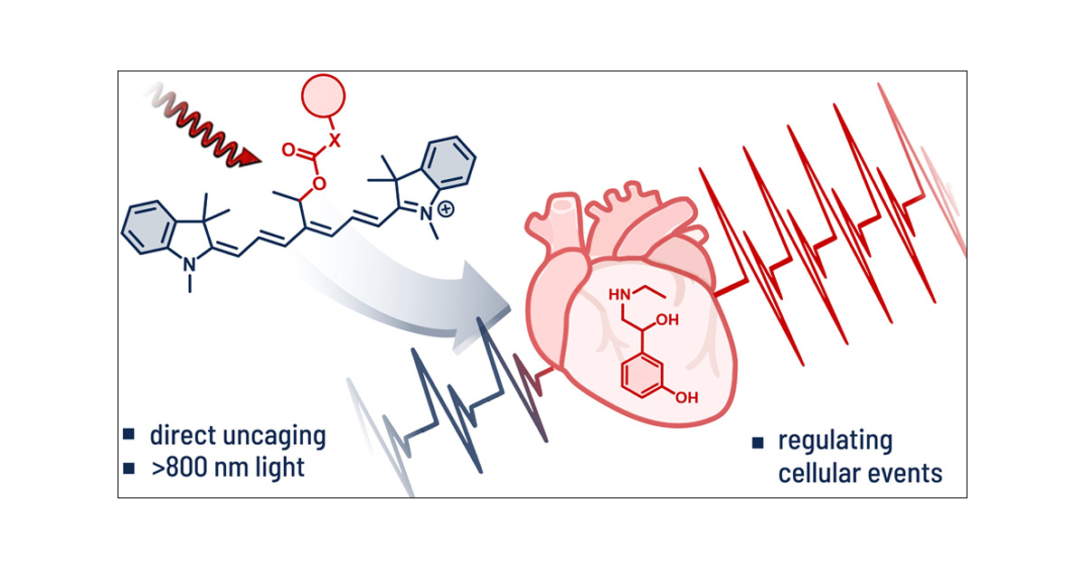 PStacko's tweet card. Photocages enable scientists to take full control over the activity of molecules using light as a biocompatible stimulus. Their emerging applications in photoactivated therapies call for efficient...