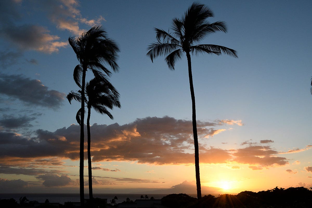 ericelliott_'s tweet card. Few investments can compete with the ROI of building a truly effective team, but finding the right people can be a challenging process.