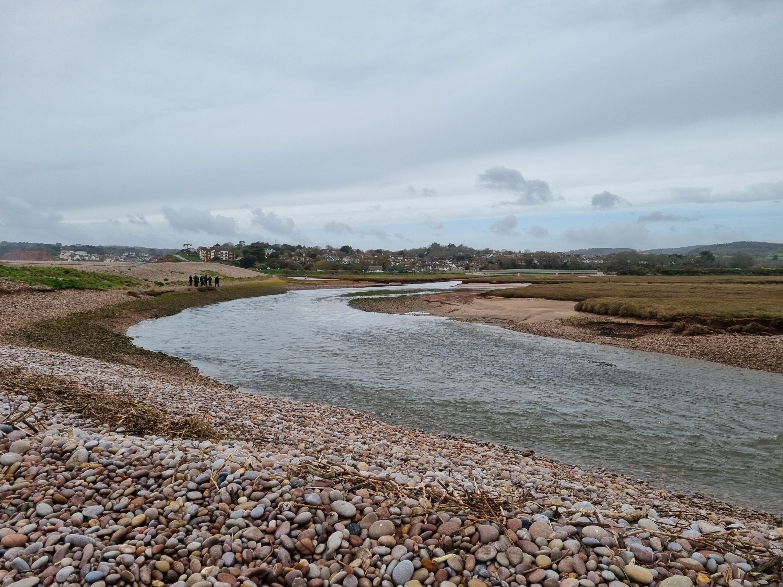 OfficialSWCM's tweet card. Last month, March 2024, some of our SWCM team were fortunate enough to have a guided tour of the Lower Otter Restoration Project by the project lead Mike Williams, recently retired from the Environ...