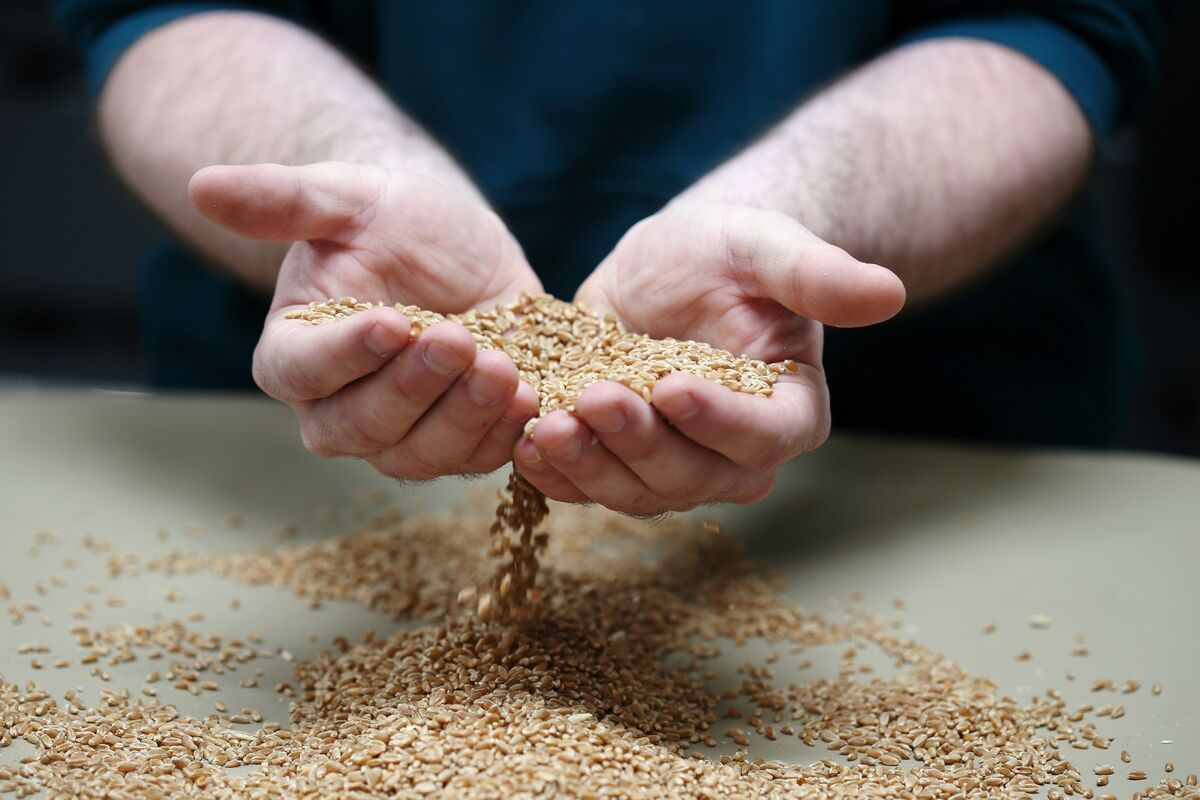 moscarielloe's tweet card. Glencore Plc-backed agriculture trader Viterra is in talks to merge with US rival Bunge Ltd., one of the world’s largest crop merchants, according to people with knowledge of the matter.