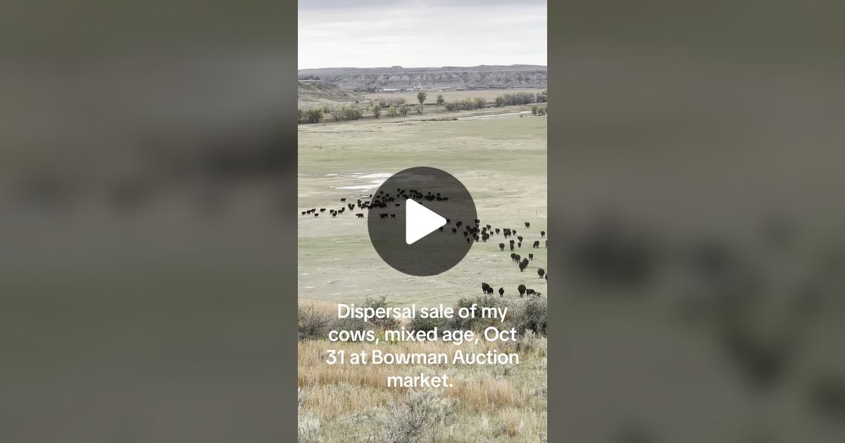 scott0960b's tweet card. 1173 likes, 74 comments. “Sad to see them go but one hell of a group.”