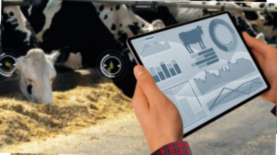 ShereenMetc's tweet card. #عرض_خاص سجل الآن ب #دورة الأساليب العلمية الحديثة في إدارة مزارع الإنتاج الحيواني 11 مايو / الأسكندرية مدة الدورة 5 ايام انضم إلينا في دورتنا المتخصصة في مجال الإنتاج الحيواني وإدارة المزارع واكتسب...