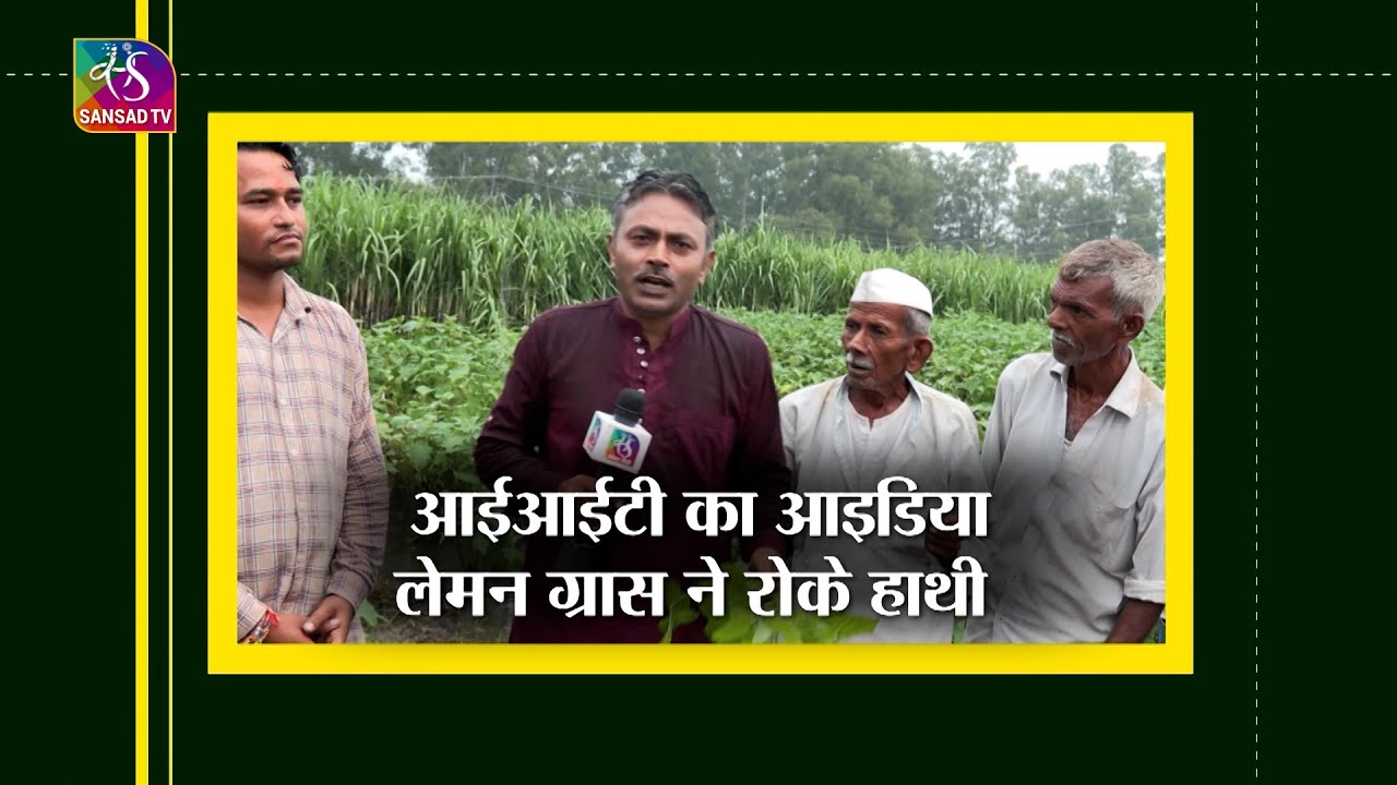 Unnatbharat_Tw's tweet card. Smart Kheti: लेमन ग्रास ने रोके हाथी | IIT | New Idea | 15 October,...