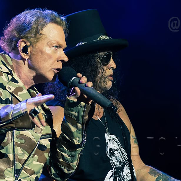 htgth's tweet card. Here Today... Gone To Hell! (@htgth) • Instagram photo