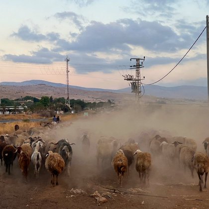 Tweet card summary image