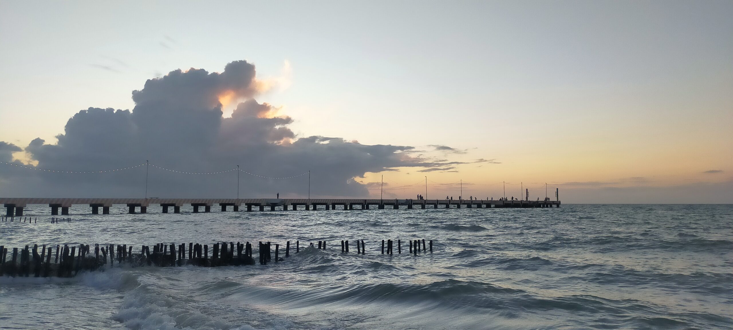 nikthya's tweet card. A pesar del tiempo y las experiencias compartidas, sentí que Clau y yo no tejíamos una amistad íntima. Disfrutaba muchísimo su presencia...