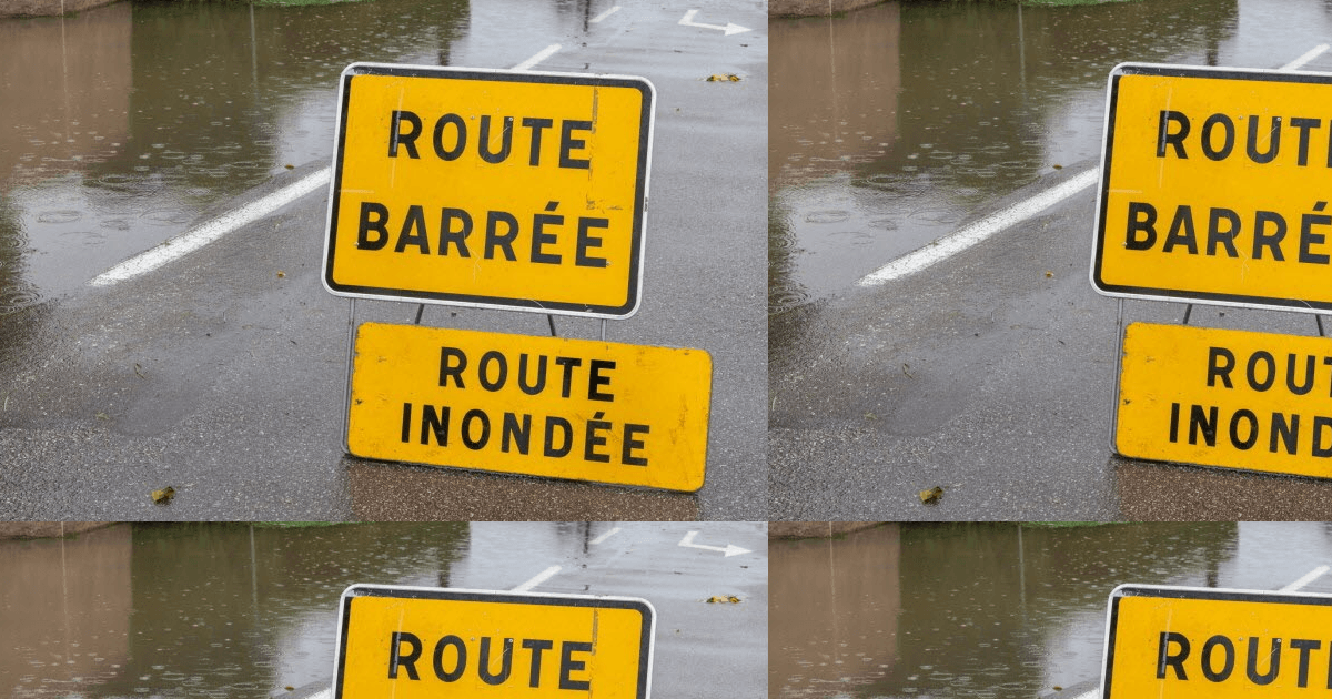 PrudenciaMedia's tweet card. Trois départements du Sud‑Ouest (Gironde, Dordogne, Corrèze) sont en vigilance orange pluie‑inondation le 24 novembre 2025, avec 50–70 mm attendus en 24 h, risques de crues locales et surveillance...