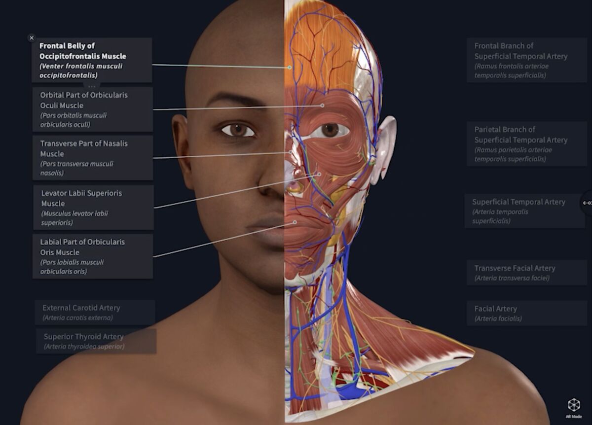 Humayra_Editor's tweet card. Hi, it’s Fiona in New York. I want to tell you about my conversation with the people behind the world’s first racially diverse 3D model of human anatomy. But first...