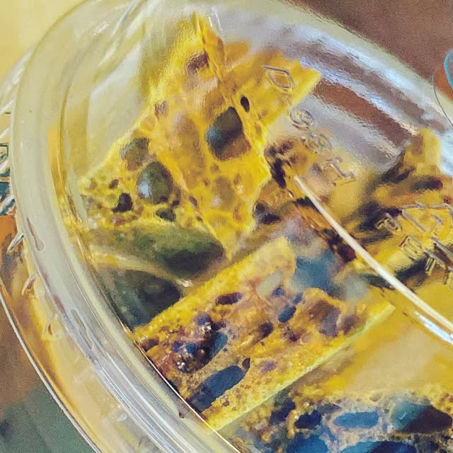 gastronomy's tweet card. Tanat Tonguthaisri (@malware) • Instagram photo