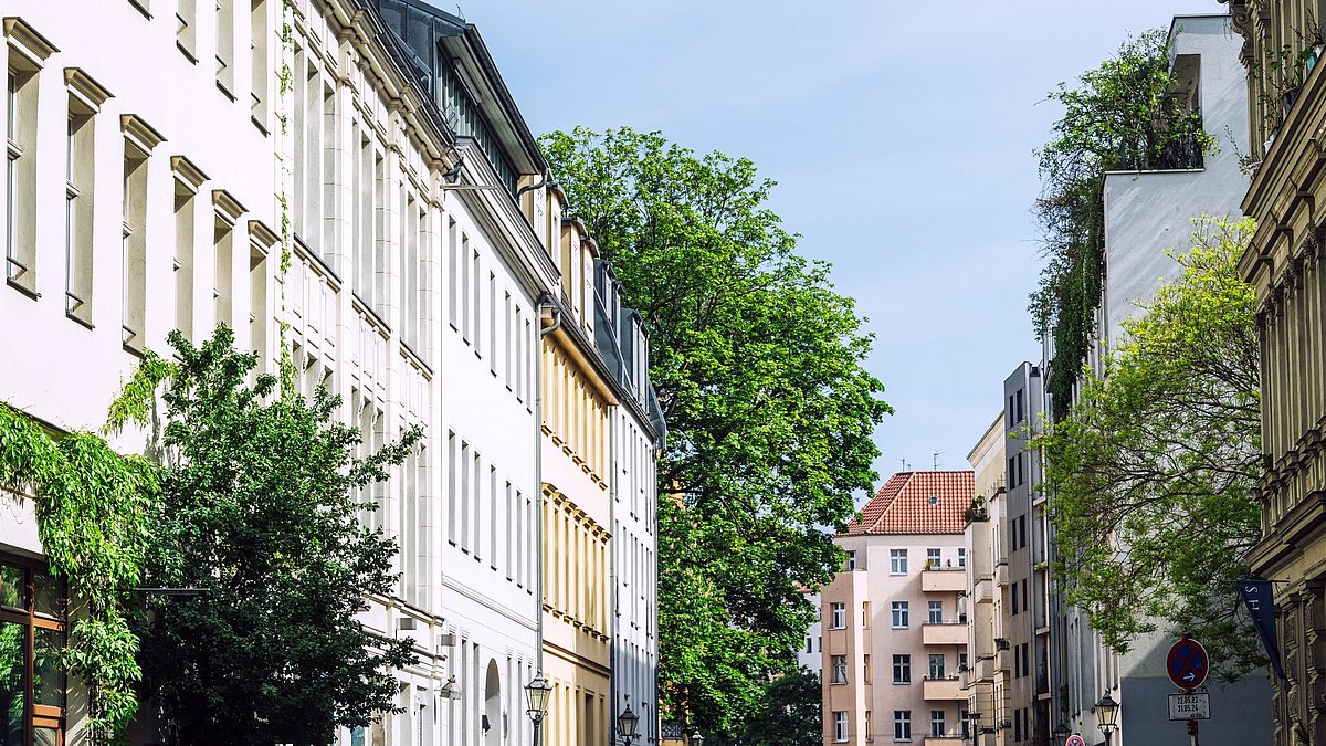 TU_Muenchen's tweet card. By documenting trees in an app, you can take part in a citizen science project — that’s what ‘Mein Baum’ makes possible.