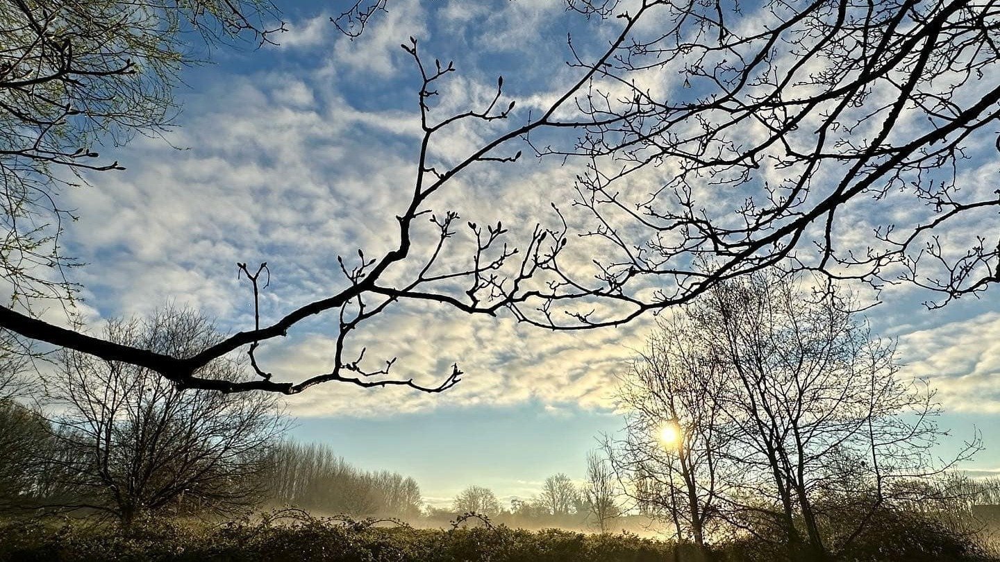 PDTProductions's tweet card. Save Ryebank Fields