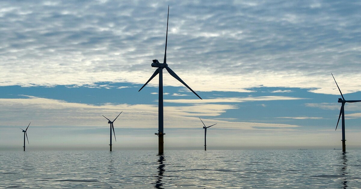 ModdermanArjen's tweet card. VLISSINGEN - Bij offshorebedrijf GeoSea staat de telefoon roodgloeiend, sinds bekend werd dat het bedrijf in 2020 de funderingen voor windpark Borssele 1 en 2 maakt en ook de turbines installeert....