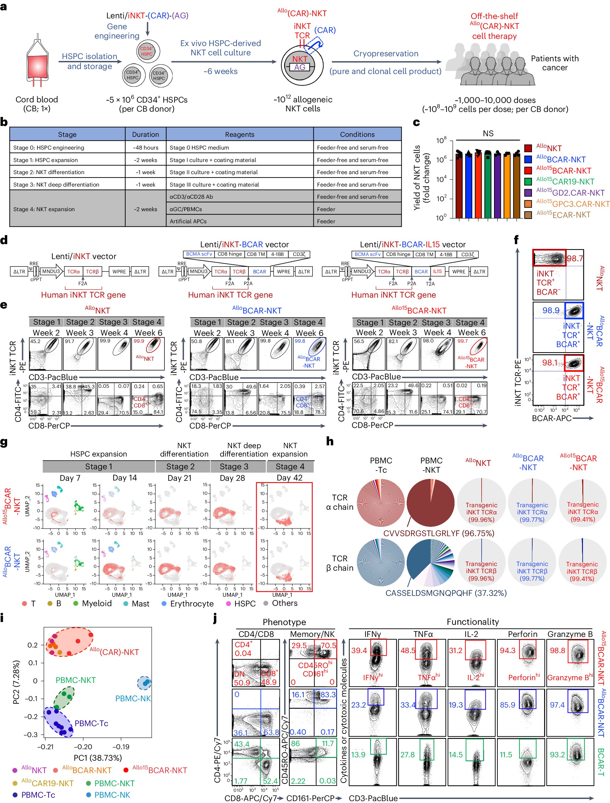 NatureBiotech's tweet card. Nature Biotechnology - Off-the-shelf CAR-NKT cells for cancer immunotherapy are advanced toward clinical translation.