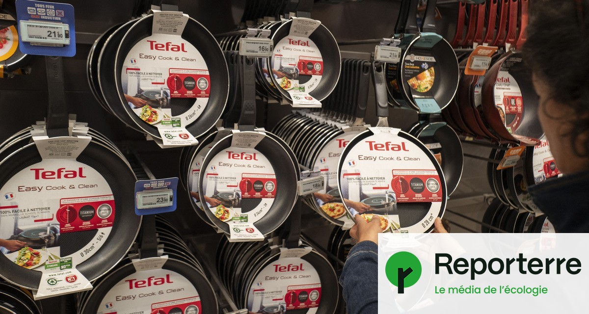 lilangell_'s tweet card. Dans de nouvelles pubs, Tefal certifie que ses poêles antiadhésives sont sûres. Une « désinformation » selon Générations futures : elles peuvent rejeter des polluants éternels dans l’environnement.