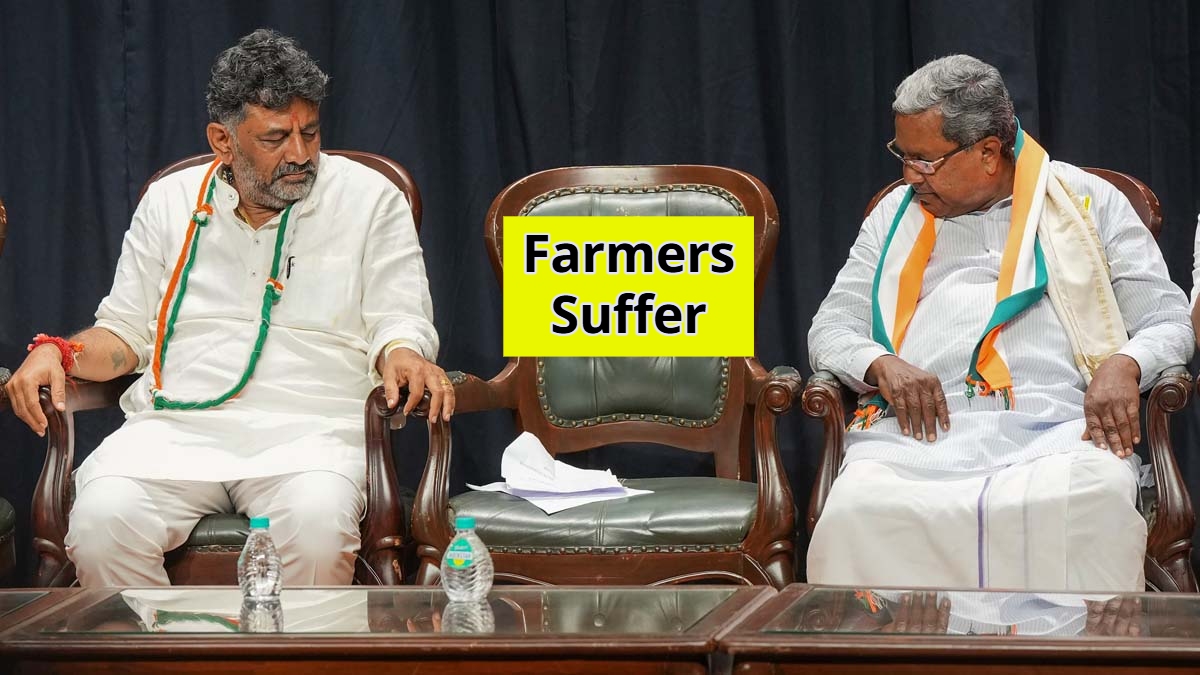 OneindiaKannada's tweet card. Karnataka Farmers Suffer amid Fight between Power Sharing of Karnataka: R Ashok slams over CM Siddaramaiah and DCM DK Shivakumar rulling. ಕರ್ನಾಟಕದ ಅಧಿಕಾರ ಹಂಚಿಕೆಯ ನಡುವಿನ ಜಗಳದಿಂದ ರೈತರು ಸಂಕಷ್ಟದಲ್ಲಿದ್ದ...